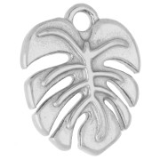 Dije con forma de hoja de monstera, 17 x 14 mm - Acero inoxidable 316 x 1