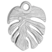 Dije con forma de hoja de monstera, 17 x 14 mm - Acero inoxidable 316 x 1
