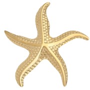 Broche Estrella de Mar 49x45 mm - Acero Inoxidable Dorado 304 x1
