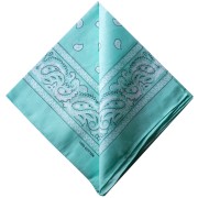 Vert Menthe - Pañuelo 100% algodón - Cachemira - Menta x1 Pañuelo 100% algodón - Cachemira - Menta x1