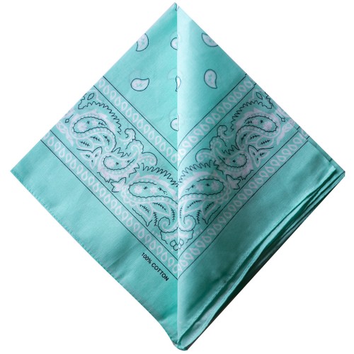 Pañuelo 100% algodón - Cachemira - Menta x1