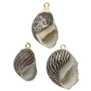 Colgante de concha rayada de 15 a 25 mm con adorno Dorado - Marrón - Negro x1