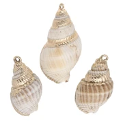 Conchas