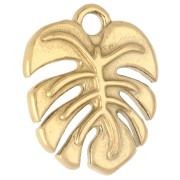 Dije con forma de hoja de monstera, 17 x 14 mm - Acero inoxidable 316 Dorado x 1
