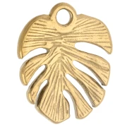 Dije con forma de hoja de monstera, 17 x 14 mm - Acero inoxidable 316 Dorado x 1