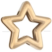 Cierre deslizante en forma de estrella de 14 x 15 mm para cordón de 10 mm - Acero inoxidable 304 Dorado x1