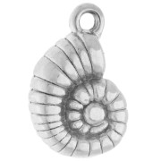 Dije con forma de concha y caracol, 13,5 x 9 mm - Acero inoxidable 316 x 1