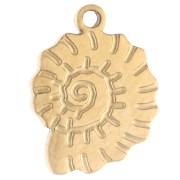 Dije con forma de concha y caracol, 11 x 8 mm - Acero inoxidable 316 Dorado x 1