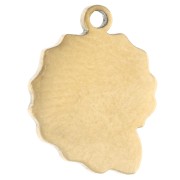 Dije con forma de concha y caracol, 11 x 8 mm - Acero inoxidable 316 Dorado x 1