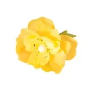 Lote de 15 tallos de 46 cm - Verde