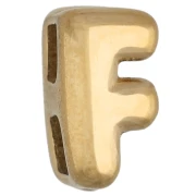 Tornillo de presión tipo «letra» de 7 x 5 mm para cordón de 1,6 mm - F - Acero inoxidable 304 Dorado x 1