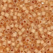 Miyuki Delica 11/0 DB0230 -  24kt Gold Lined Opal x5g