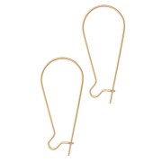 Ganchos pendientes de 38 mm - Acero inoxidable 304 dorado x2