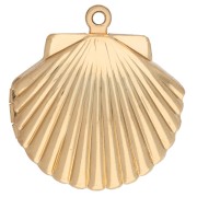 Colgante para foto en forma de concha, 22 x 24 mm - Dorado con oro fino x1