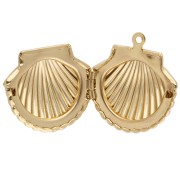 Colgante para foto en forma de concha, 22 x 24 mm - Dorado con oro fino x1