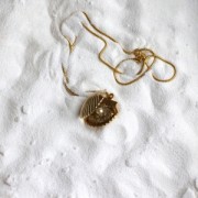 Colgante para foto en forma de concha, 22 x 24 mm - Dorado con oro fino x1