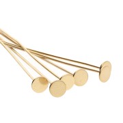 Clavo de cabeza plana ancha 25 x 0,6 mm - Acero inoxidable 304 Dorado x6