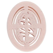 Cortapastas ovalado de 25 x 18 mm —diseño de abeto— de polímero biodegradable —Beige x1—