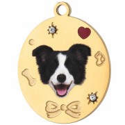 Dije ovalado de 19 x 15 mm con impresión UV de una cabeza de border collie - Acero inoxidable 304 dorado