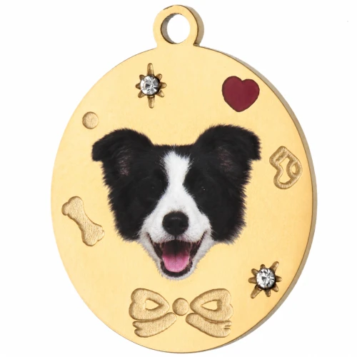 Dije ovalado de 19 x 15 mm con impresión UV de una cabeza de border collie - Acero inoxidable 304 dorado