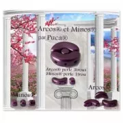 Minos® par Puca® 2.5x3 mm Purple Metallic Mat x5g