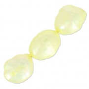 Olivas irregulares tintadas 9x8 mm Amarillo Pálido x6|raw }}