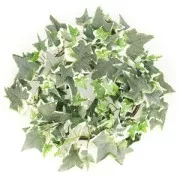 Guirnalda de hiedra en alambre metálico x1.8 metros