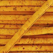 Cordon caucho prespuntado 4 mm Mostaza x 50cm|raw }}