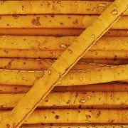 Cordon caucho prespuntado 4 mm Mostaza x 50cm