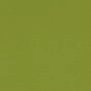 Silhouette Cartulina Adhesiva para Silhouette 30.5x30.5 cm Verde x1