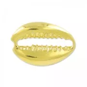 Entrepieza concha 19x13 mm de Plata 925 Dorado con oro fino x1