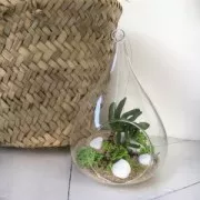 Arena fina Dorado x475ml