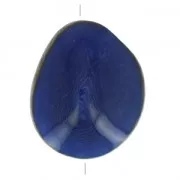 Semilla de Tagua trabajada 35-50 mm Azul x 1