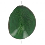 Semilla de Tagua trabajada 35-50 mm Verde x 1|raw }}