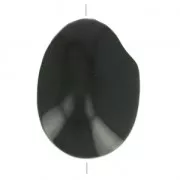 Semilla de Tagua trabajada 35-50 mm Negro x 1