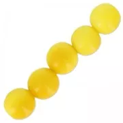 Cuentas redondas de Tagua 5 mm Amarillo x 8
