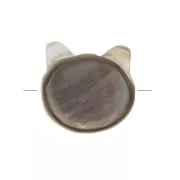 Cuenta cabeza de gato de nácar 10 mm Black Iris x1