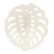 Colgante de Nácar hoja de filodendro  33x31.5mm Natural x1