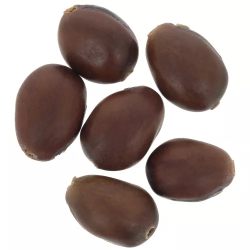 Semillas amora de America del Sur 12 mm Natural x 10