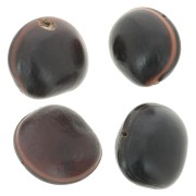 Ojo de buey sudamericano semilla 30 mm Natural x 1