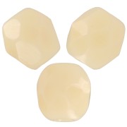 Chapas de 4 mm - Beige opaco x50