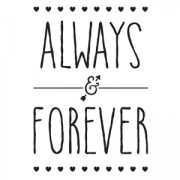 Papel-Transfer Thermoadhesivo Always and Forever 24.8x17 cm Noir x1