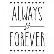 Papel-Transfer Thermoadhesivo Always and Forever 24.8x17 cm Noir x1