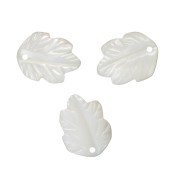 Cologante hoja de nácar 12 mm Natural x1