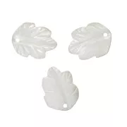 Cologante hoja de nácar 12 mm Natural x1