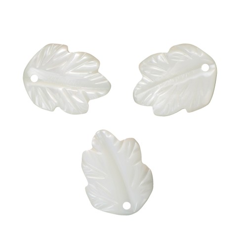 Cologante hoja de nácar 12 mm Natural x1