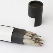 Surtido de 12 lápices House Doctor en un tubo de cartón