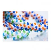 Cornelian Beads Star Preciosa Ornela de Vidrio Checa 32/0 Cobalt x8g