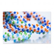 Cornelian Beads Star Preciosa Ornela de Vidrio Checa 32/0 Aqua x8g