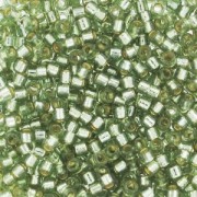 Miyuki Delica Duracoat 11/0 DB2163 - Silver Lined Dyed Willow x8g